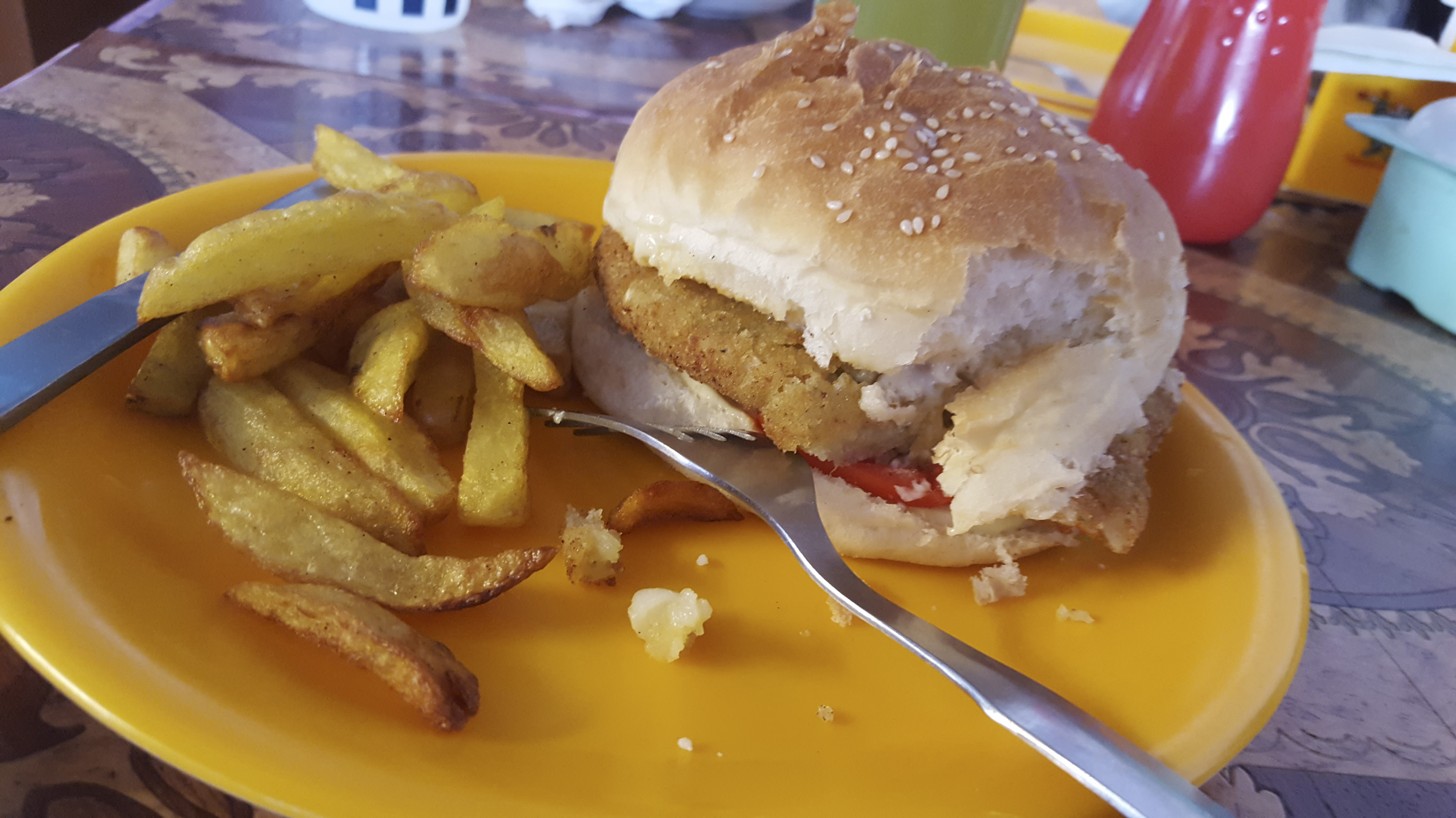 2016_India_20160508_1637