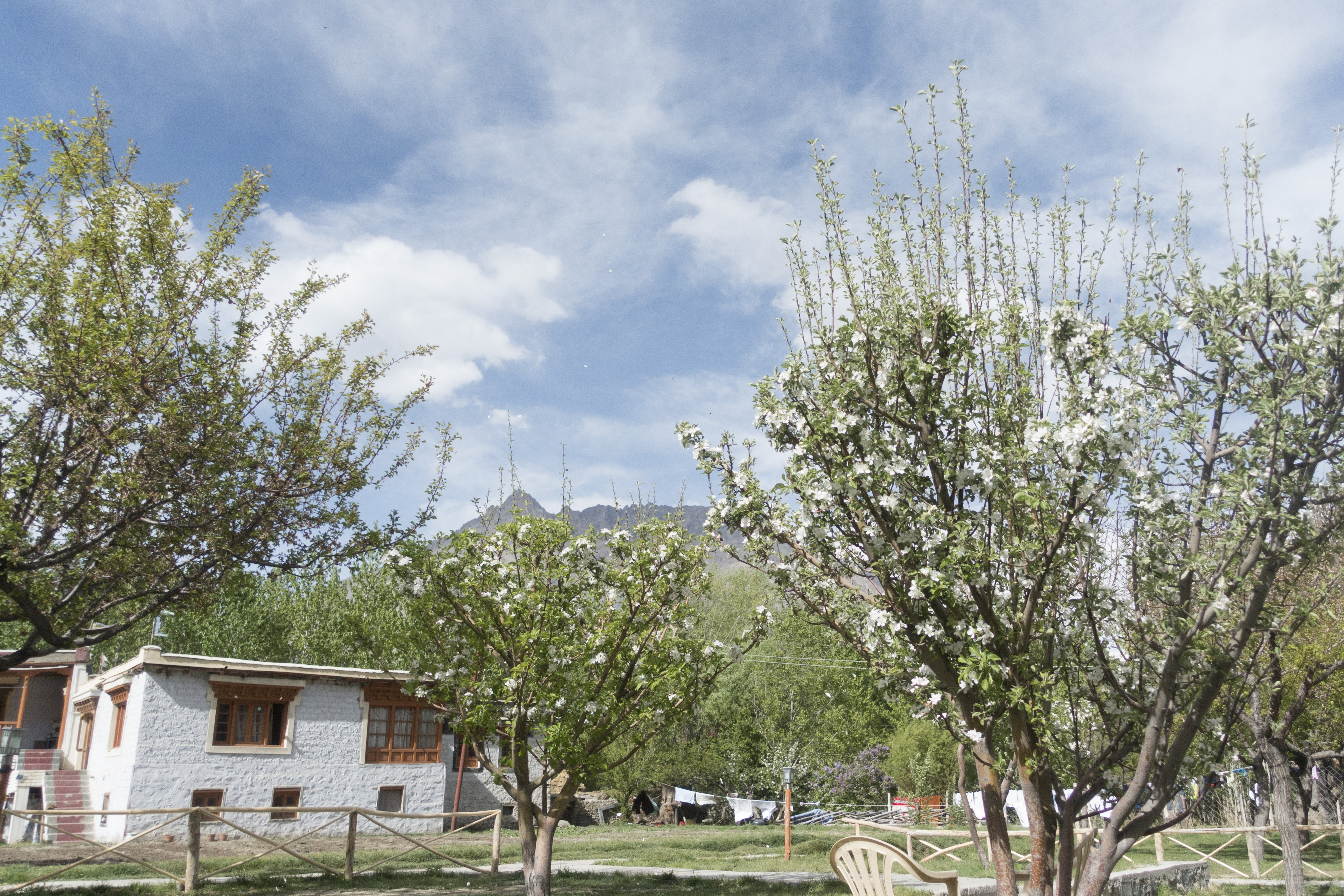 2016_India_20160509_1545_2