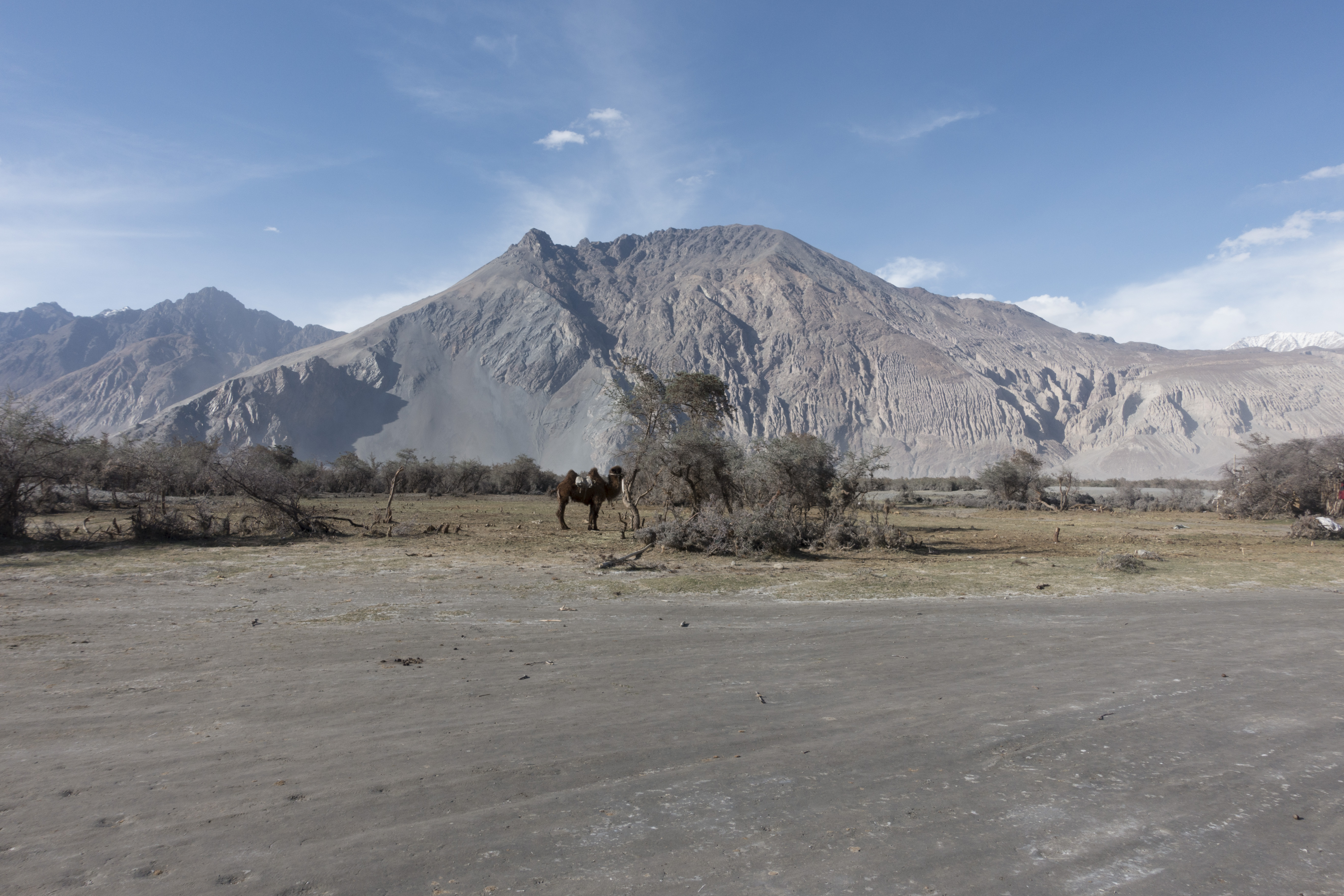 2016_India_20160509_1702_1