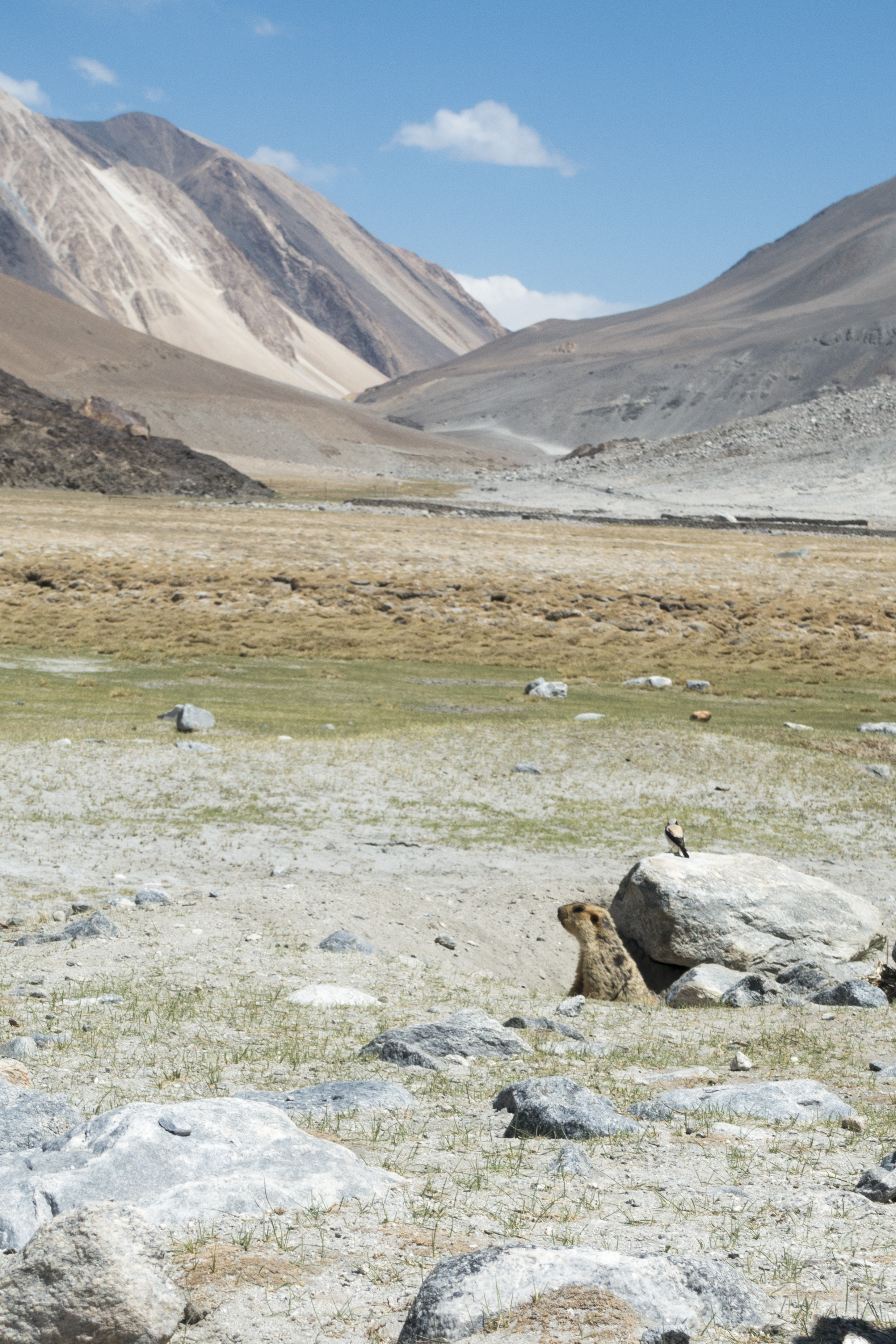 2016_India_20160510_1333