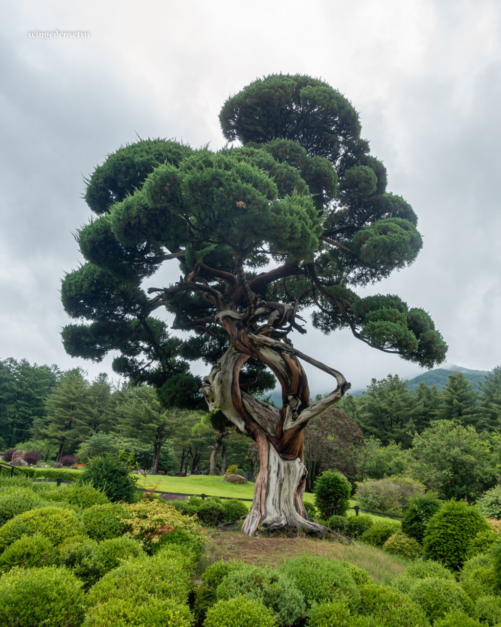 Seoulcation Day 11 – Overnight trip out of&nbsp;Seoul